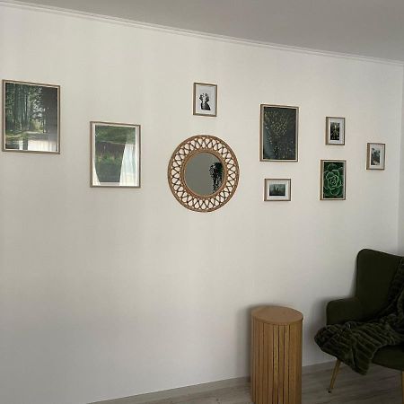 Carol Apartament'S ทิมิชัวรา ภายนอก รูปภาพ