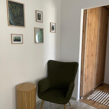 Carol Apartament'S ทิมิชัวรา ภายนอก รูปภาพ