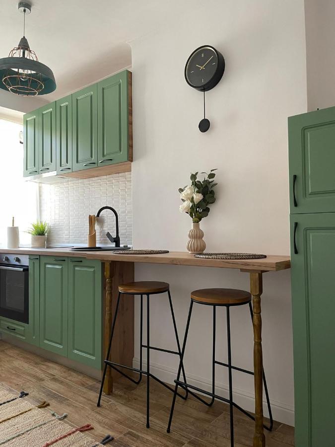 Carol Apartament'S ทิมิชัวรา ภายนอก รูปภาพ