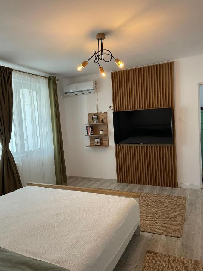 Carol Apartament'S ทิมิชัวรา ภายนอก รูปภาพ