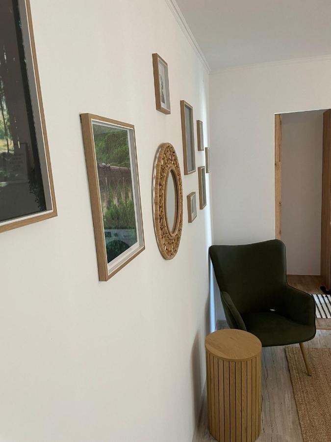 Carol Apartament'S ทิมิชัวรา ภายนอก รูปภาพ