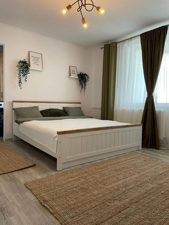 Carol Apartament'S ทิมิชัวรา ภายนอก รูปภาพ