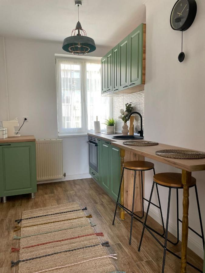 Carol Apartament'S ทิมิชัวรา ภายนอก รูปภาพ