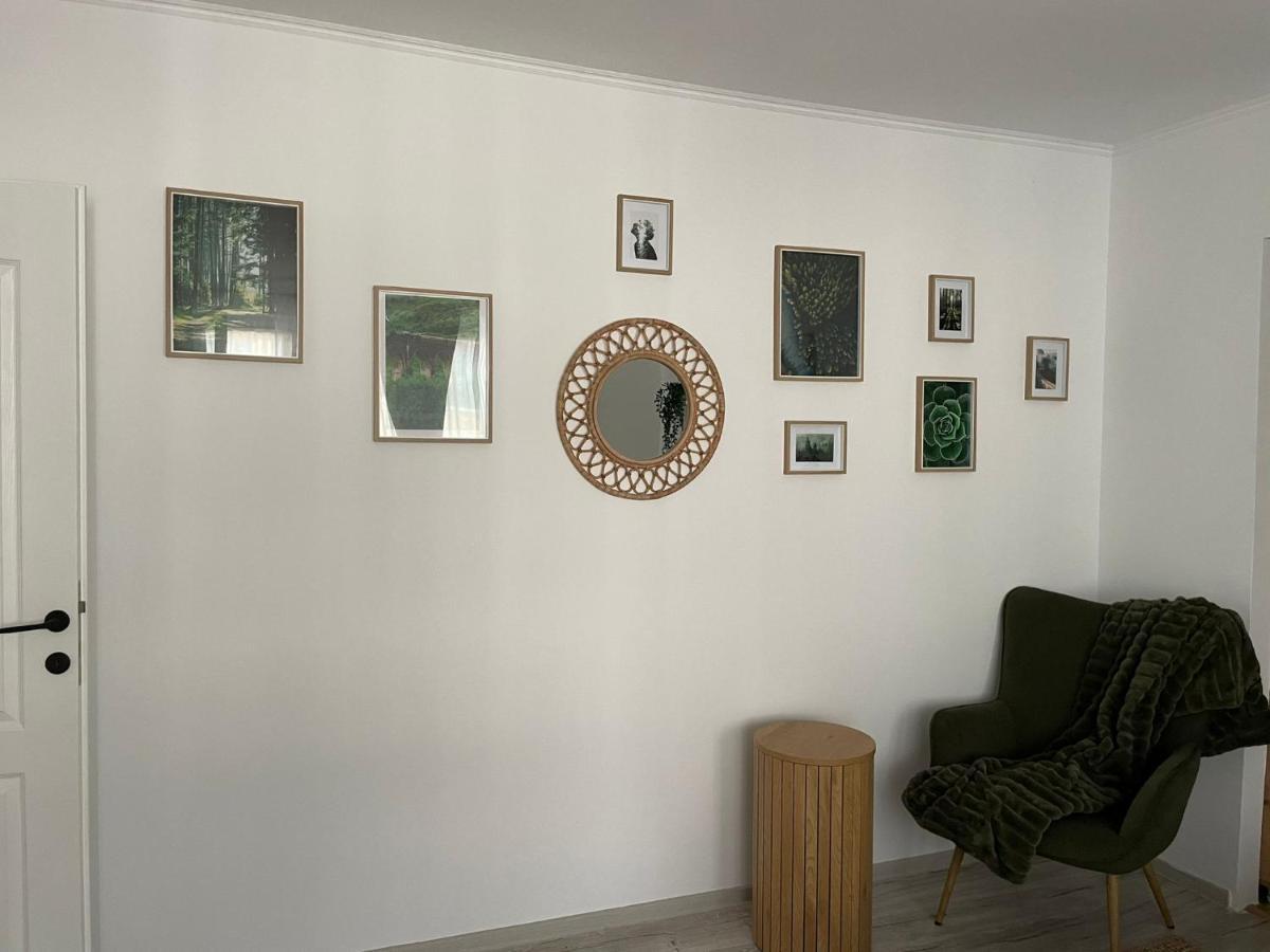 Carol Apartament'S ทิมิชัวรา ภายนอก รูปภาพ